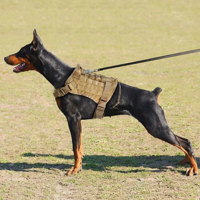 Outdoor Hunting Dog Vest with Handle